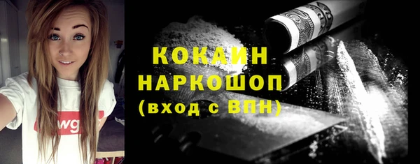 стаф Дмитриев