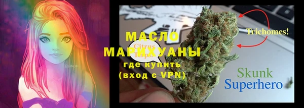 молекула духа Дмитров