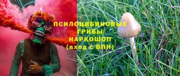 молекула духа Дмитров