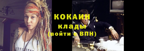 стаф Дмитриев
