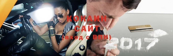 молекула духа Дмитров