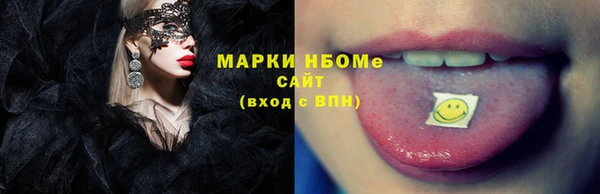 стаф Дмитриев