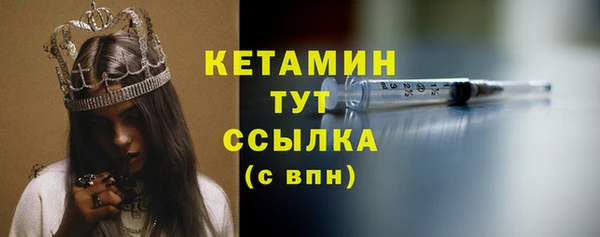 стаф Дмитриев