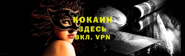 стаф Дмитриев