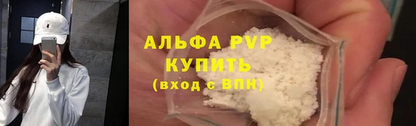 стаф Дмитриев