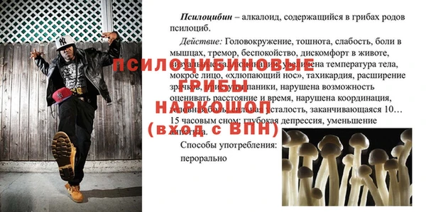 apvp Дмитровск