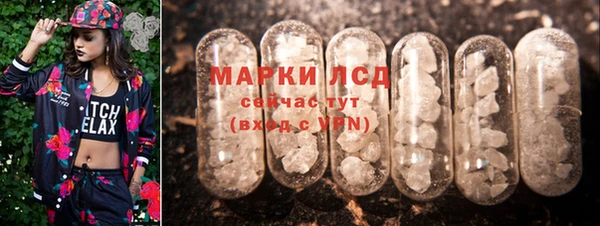 apvp Дмитровск