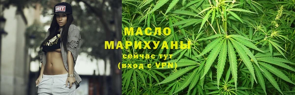 молекула духа Дмитров