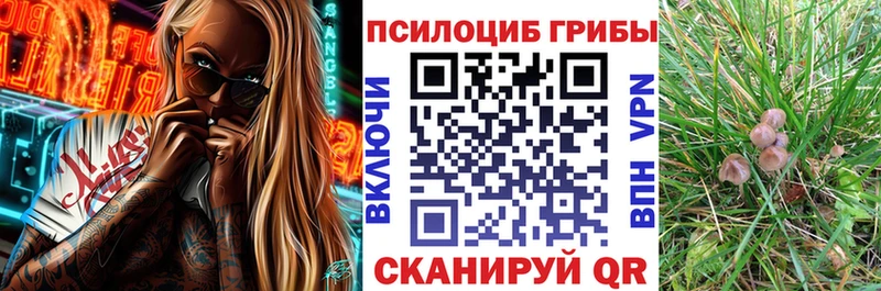 Купить закладки  Кувандык  Галлюциногенные грибы Psilocybine cubensis 
